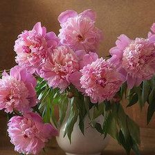 Схема вышивки «пионы»