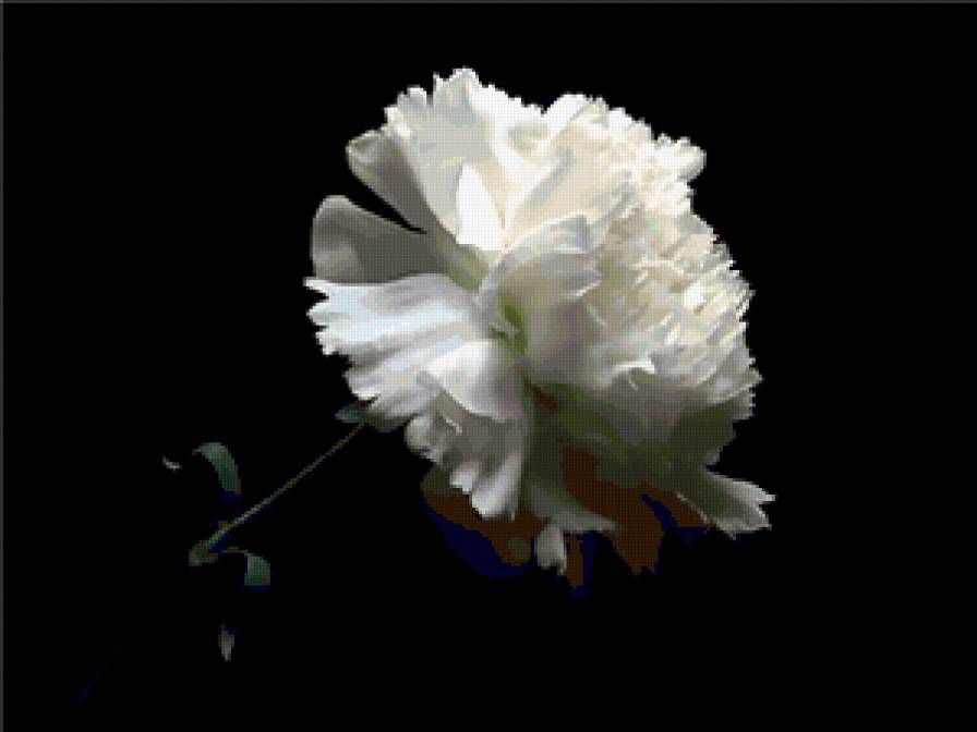 №368037 - предпросмотр