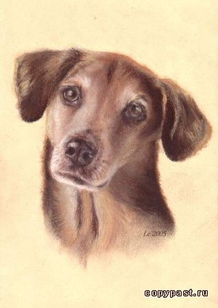 №368065 - оригинал