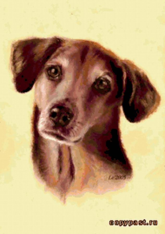 №368065 - предпросмотр