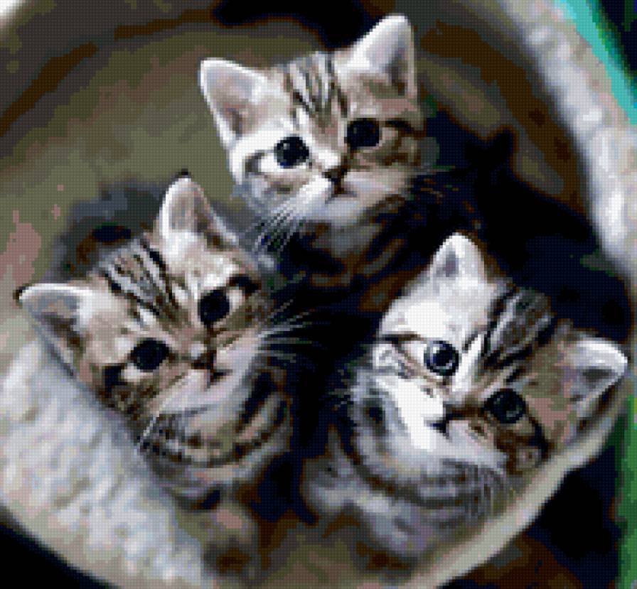 №368140 - предпросмотр