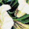 Предпросмотр схемы вышивки «цветы» (№368155)