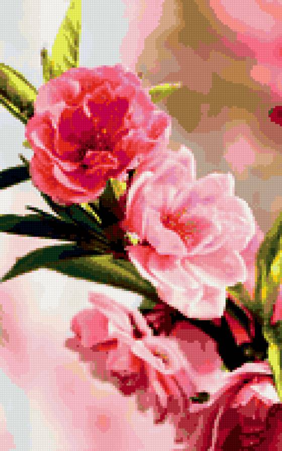 пион - предпросмотр