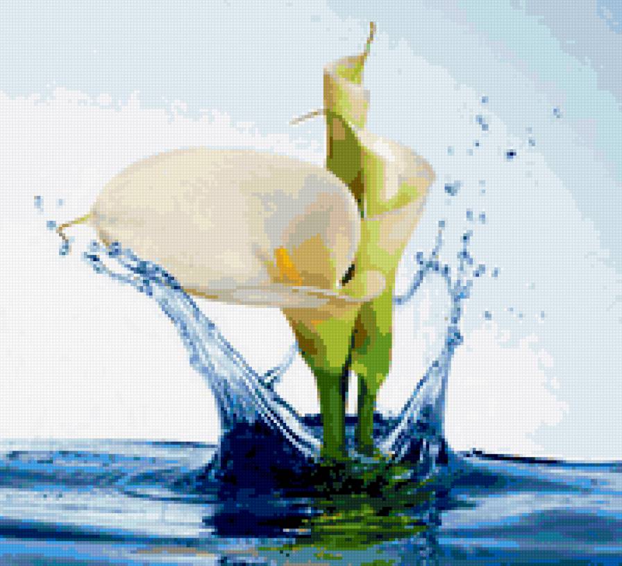 KALLY V VODE - предпросмотр