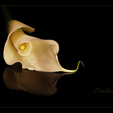 Схема вышивки «№368220»