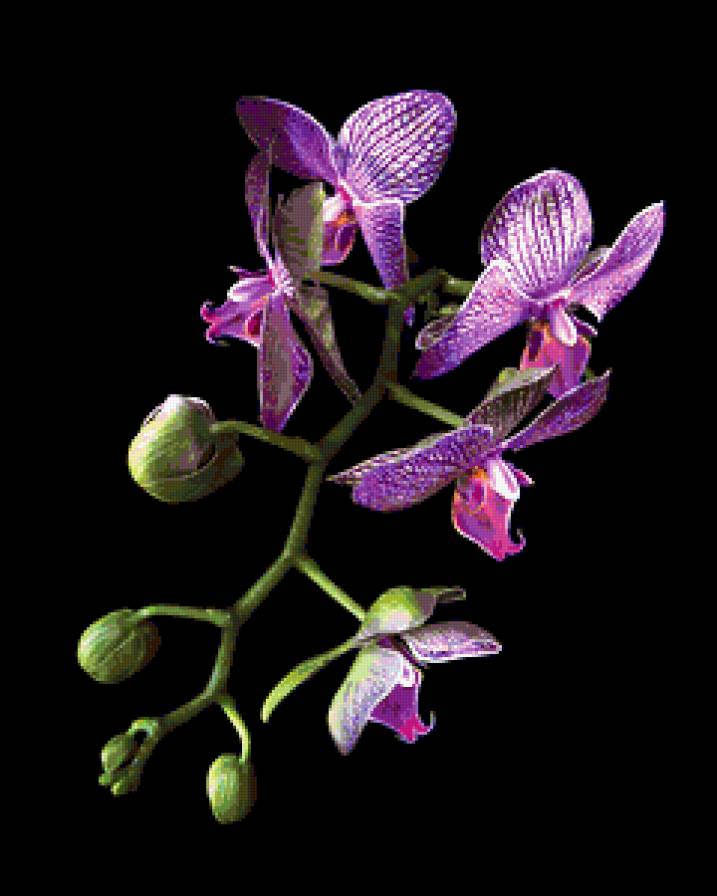 №368225 - предпросмотр