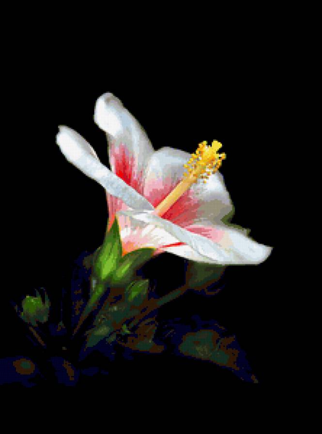 №368227 - предпросмотр