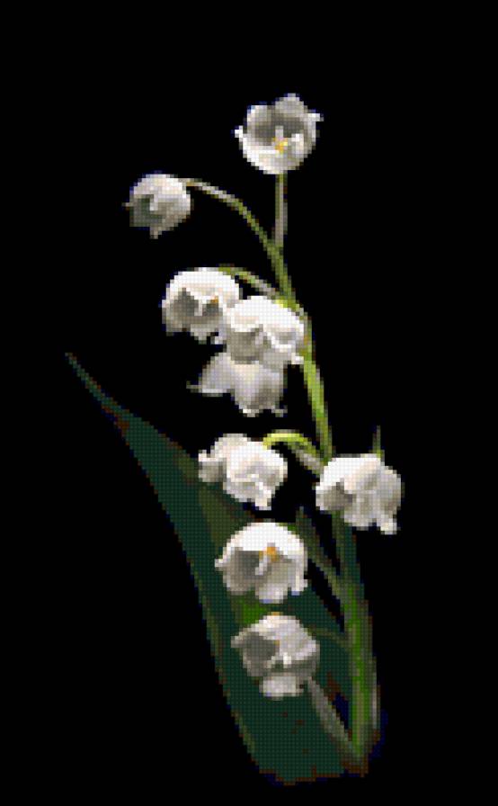 №368230 - предпросмотр