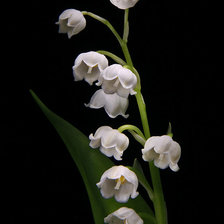 Схема вышивки «№368230»