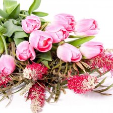 Схема вышивки «BUKET»