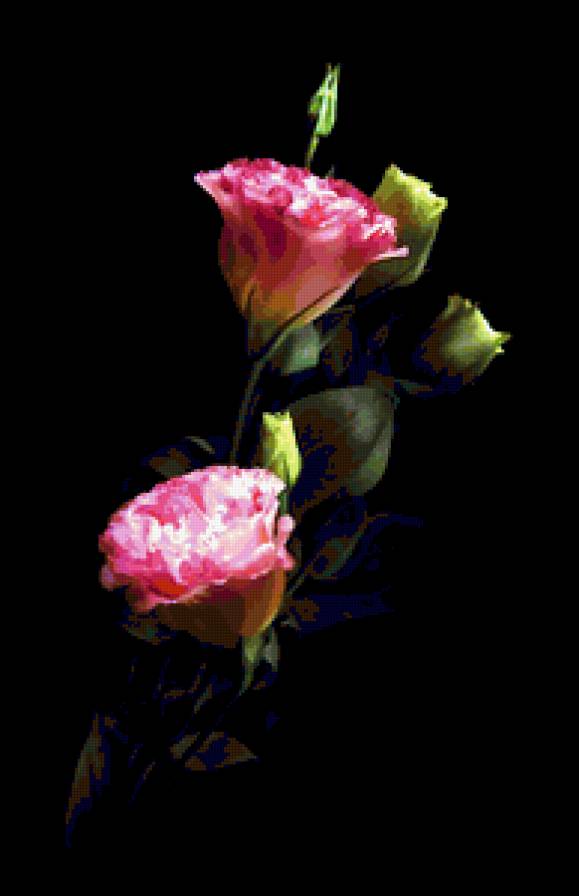 №368248 - предпросмотр