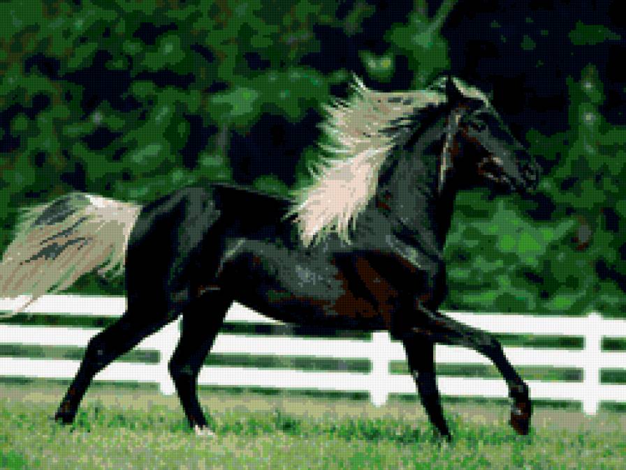 гнедой - предпросмотр