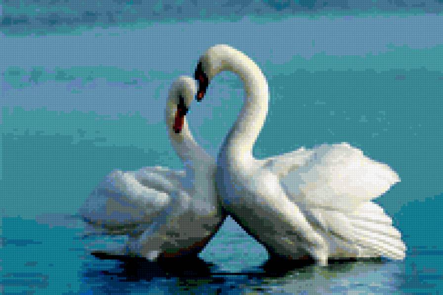 Лебеди - предпросмотр