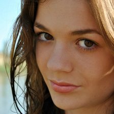 Схема вышивки «лена»