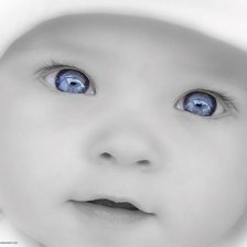 Схема вышивки «малышь»