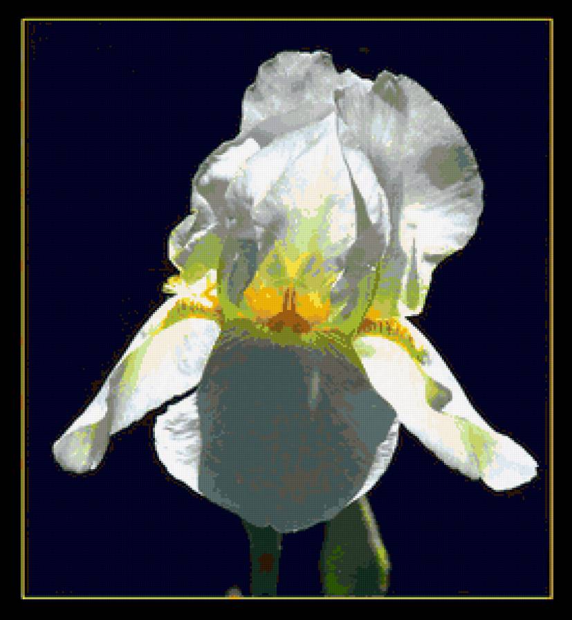 №368489 - предпросмотр