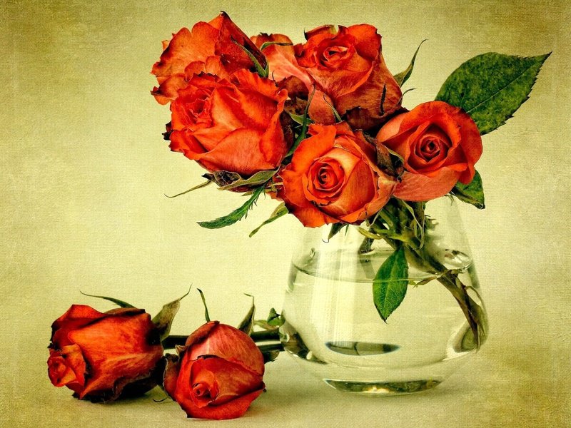 розы - букет, цветы - оригинал