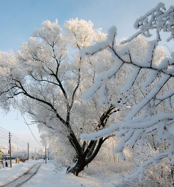 №368550 - оригинал