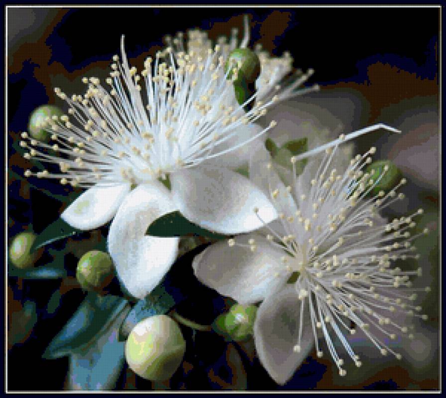 №368580 - предпросмотр