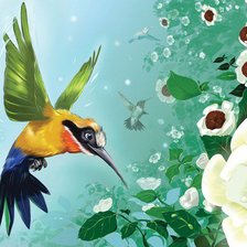 Схема вышивки «Колибри»