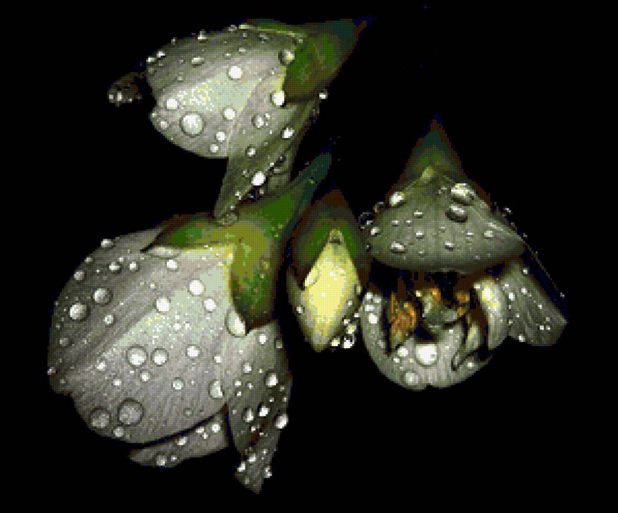 №368676 - предпросмотр