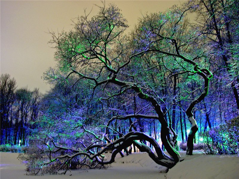 №368677 - оригинал