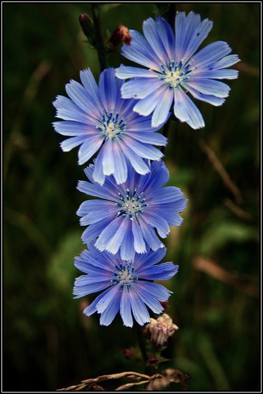 №368680 - оригинал