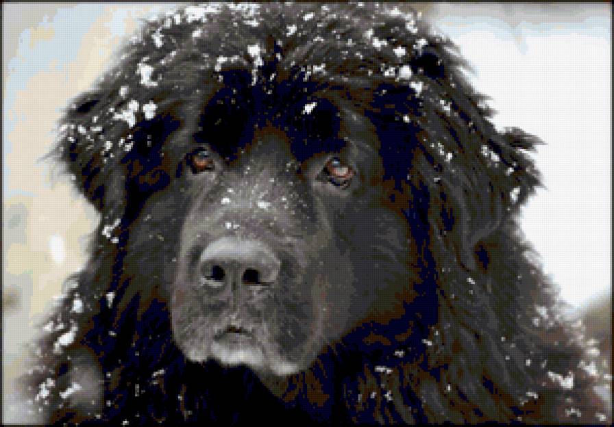 №368681 - предпросмотр