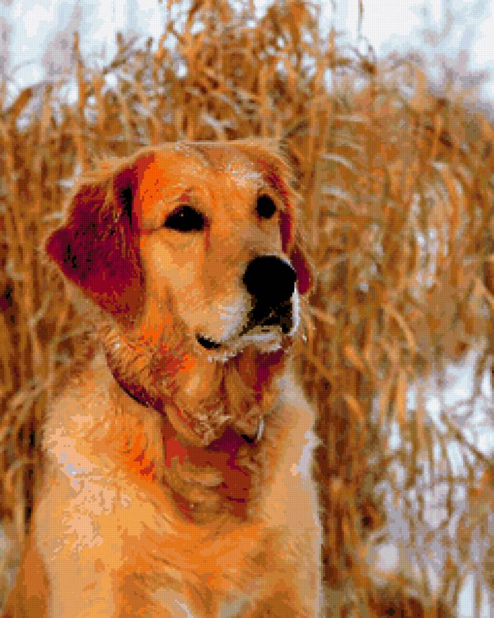 №368682 - предпросмотр