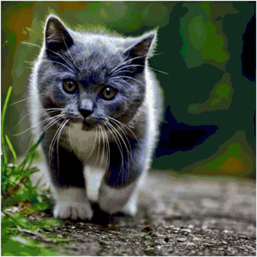 №368707 - предпросмотр