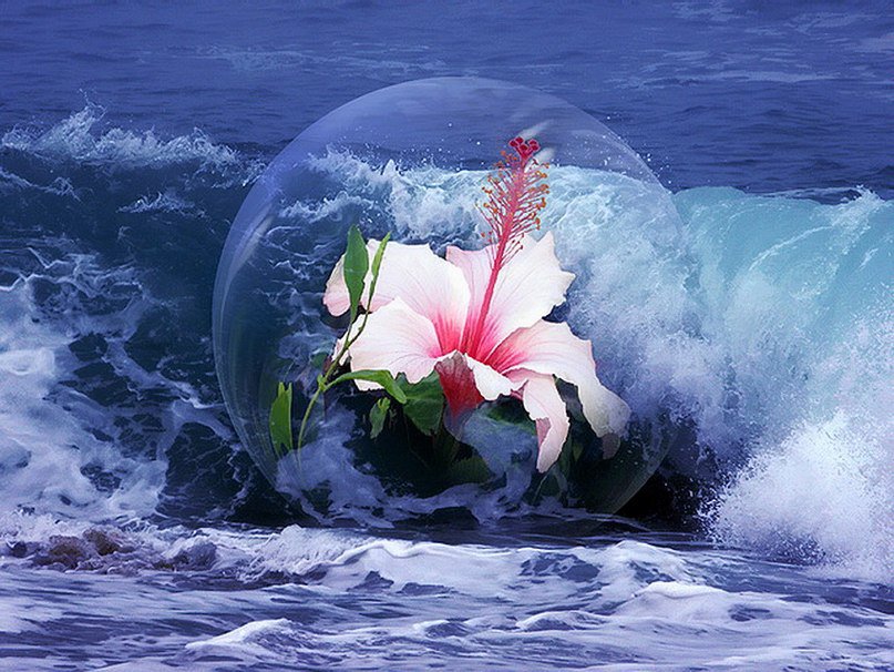 Большие капли красоты - оригинал