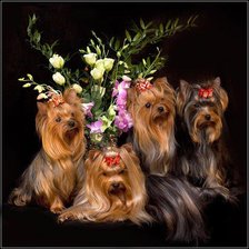 Схема вышивки «№368877»