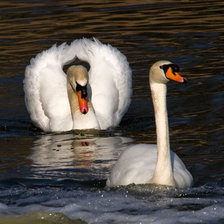Схема вышивки «№368883»