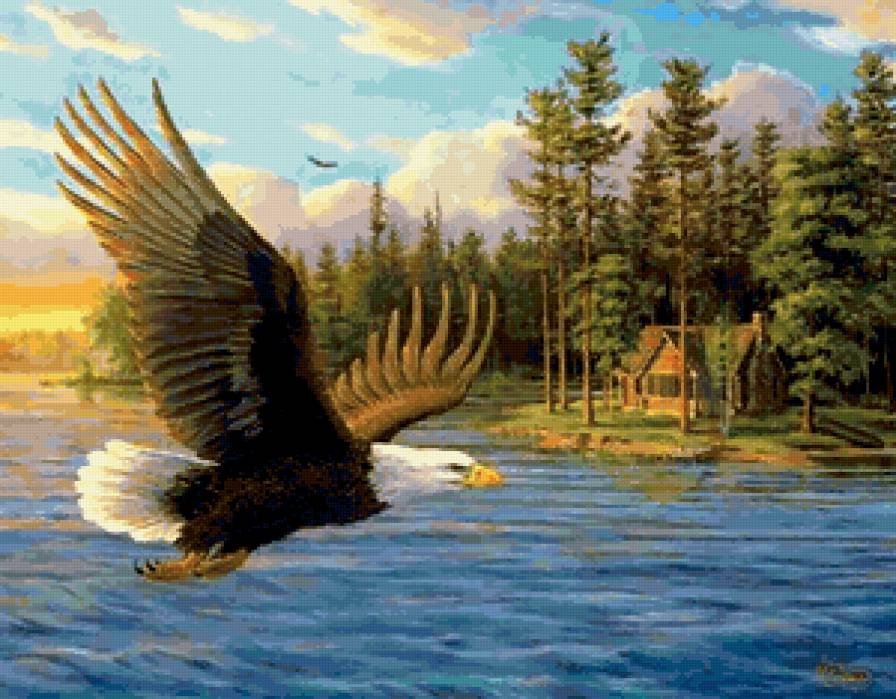 №368939 - предпросмотр