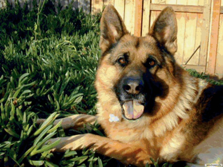 №368977 - предпросмотр