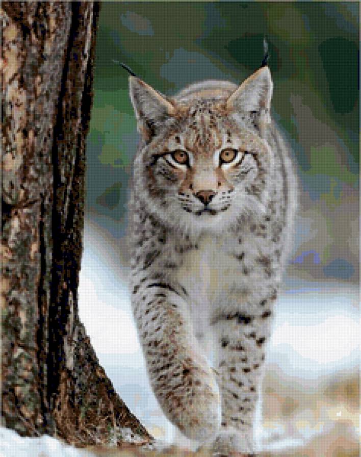 №369049 - предпросмотр