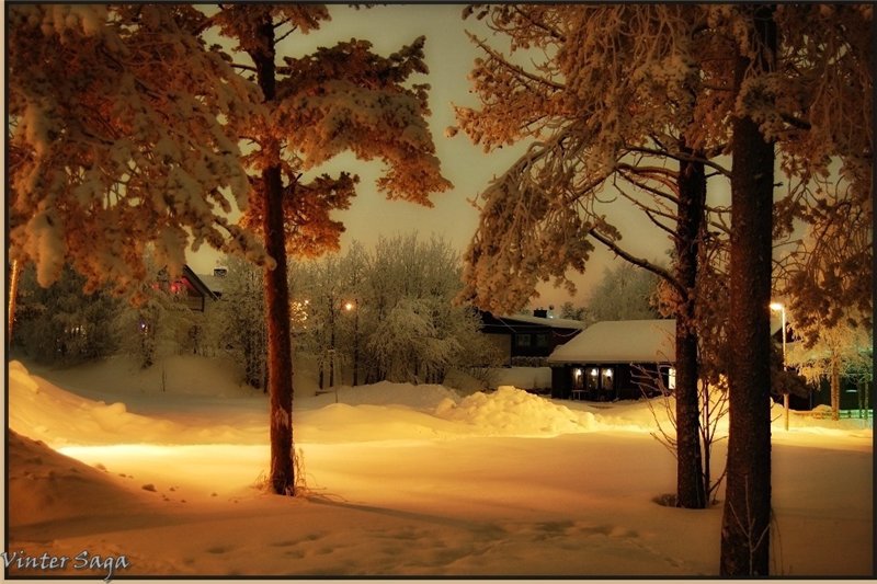 №369067 - оригинал