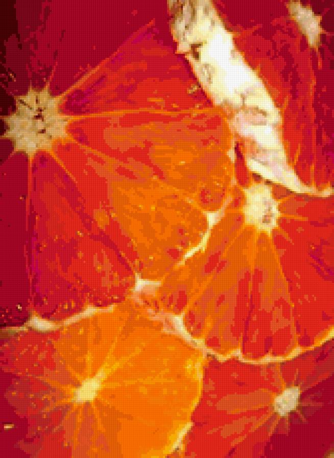 Апельсин - фрукты - предпросмотр