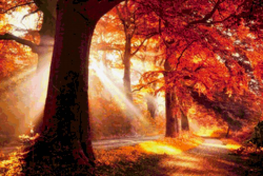 Последний луч лета - лес, пейзаж, осень - предпросмотр