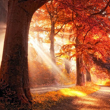 Последний луч лета