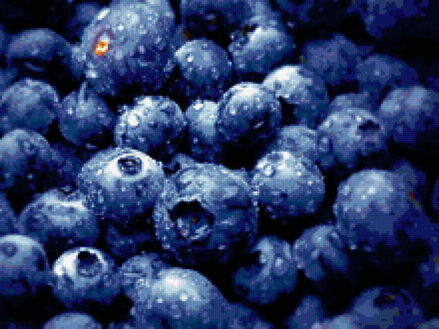 Черника - фрукты - предпросмотр