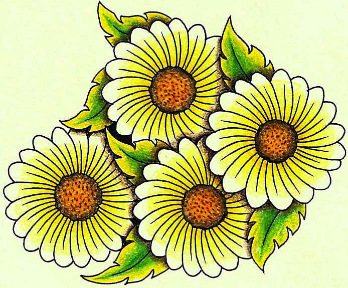 Ромашки - цветы, ромашки - оригинал