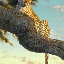 Схема вышивки «№369562»