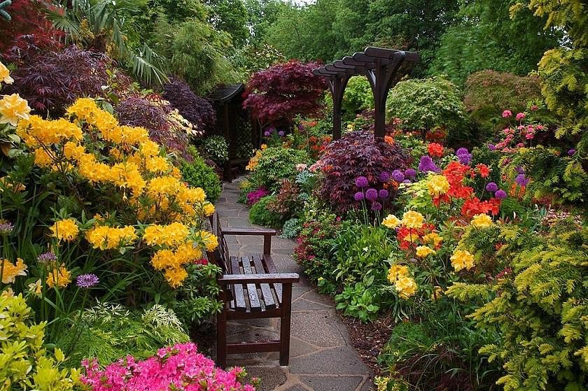 №369581 - оригинал