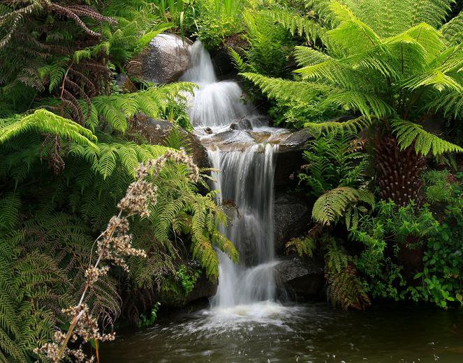 №369586 - оригинал