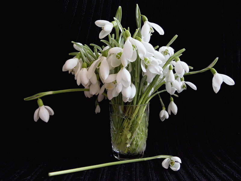 №369587 - оригинал