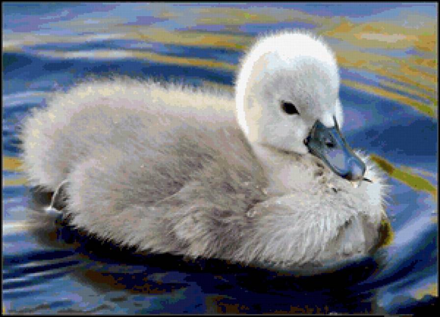 №369594 - предпросмотр