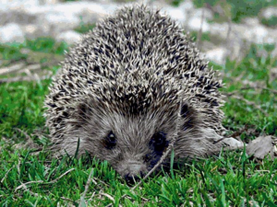 №369630 - предпросмотр