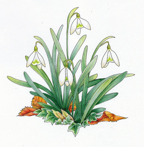 №369632 - цветы, скатерть, салфетка, подушка, подснежники - оригинал