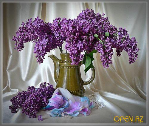 №369640 - оригинал